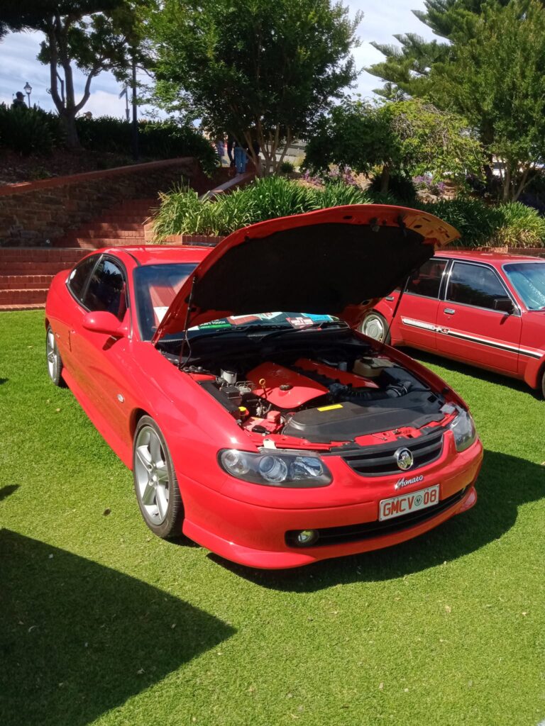 cv8 red